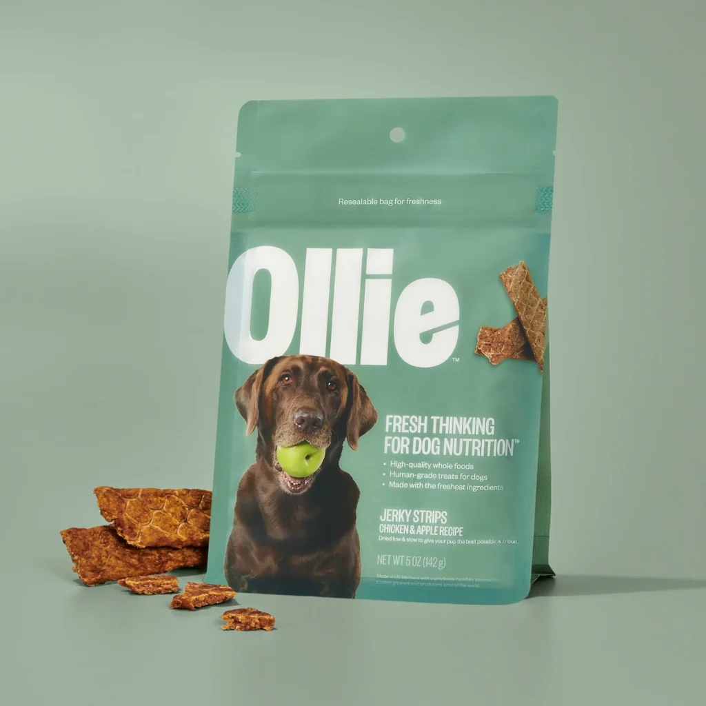 A teal resealable bag of Ollie Jerky Strips Chicken and Apple Recipe featuring a brown Labrador with a green apple in its mouth and several jerky pieces scattered next to the bag.
